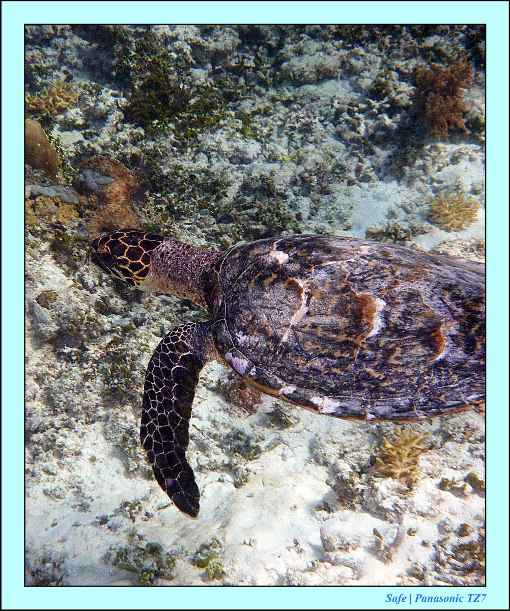 2012 - 07 - Gili - 84